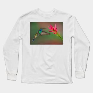 Green Violetear Hummingbird Long Sleeve T-Shirt